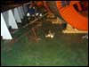 Lashing Services